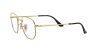 RX6448 Eyeglasses