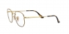 RX6448 Eyeglasses