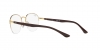 RX6487 Eyeglasses