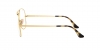 RX6489 Aviator Eyeglasses