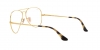 RX6489 Aviator Eyeglasses