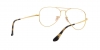 RX6489 Aviator Eyeglasses
