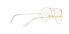 RX6489 Aviator Eyeglasses