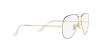 RX6489 Aviator Eyeglasses