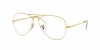 RX6489 Aviator Eyeglasses