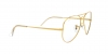 RX6489 Aviator Eyeglasses