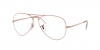 RX6489 Aviator Eyeglasses