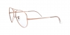 RX6489 Aviator Eyeglasses