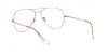 RX6489 Aviator Eyeglasses