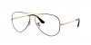 RX6489 Aviator Eyeglasses