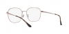 RX6490D Eyeglasses
