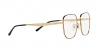 RX6503D Eyeglasses