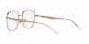 RX6503D Eyeglasses