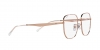 RX6503D Eyeglasses
