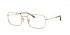RX6520 Eyeglasses