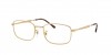 RX6533 Eyeglasses
