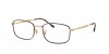 RX6533 Eyeglasses