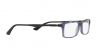 RX7017 Eyeglasses