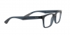 RX7025 Eyeglasses