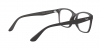 RX7059D Eyeglasses