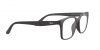 RX7059D Eyeglasses