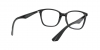 RX7066 Eyeglasses