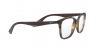 RX7066 Eyeglasses