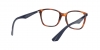 RX7066 Eyeglasses