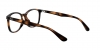 RX7093D Eyeglasses