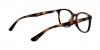 RX7093D Eyeglasses