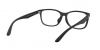 RX7124D Eyeglasses