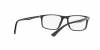RX7124D Eyeglasses