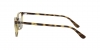 RX7144M Ferrari Eyeglasses