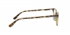 RX7144M Ferrari Eyeglasses