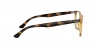 RX7159 Eyeglasses