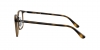 RX7168D Eyeglasses