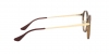 RX7178D Eyeglasses