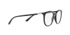 RX7190 Eyeglasses