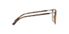 RX7190 Eyeglasses