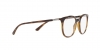 RX7190 Eyeglasses