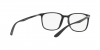 RX7199 Eyeglasses