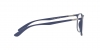 RX7199 Eyeglasses