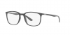 RX7199 Eyeglasses