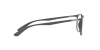 RX7199 Eyeglasses