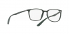 RX7199 Eyeglasses