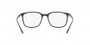 RX7199 Eyeglasses