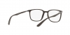 RX7199 Eyeglasses