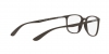 RX7199 Eyeglasses