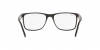 RX7203L Eyeglasses