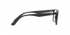 RX7203L Eyeglasses